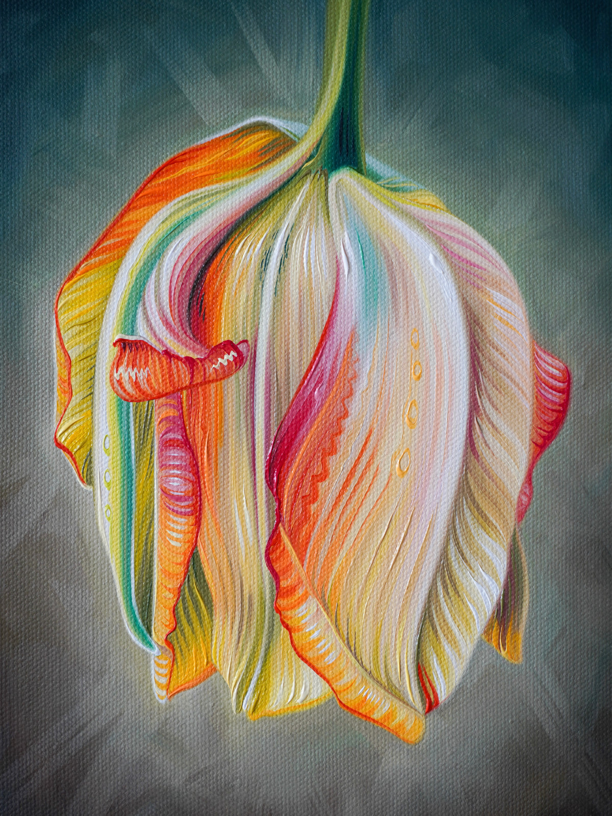 Tulip Study No. 2