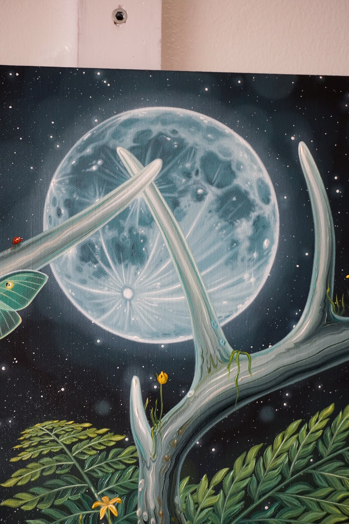 Foraging by Moonlight