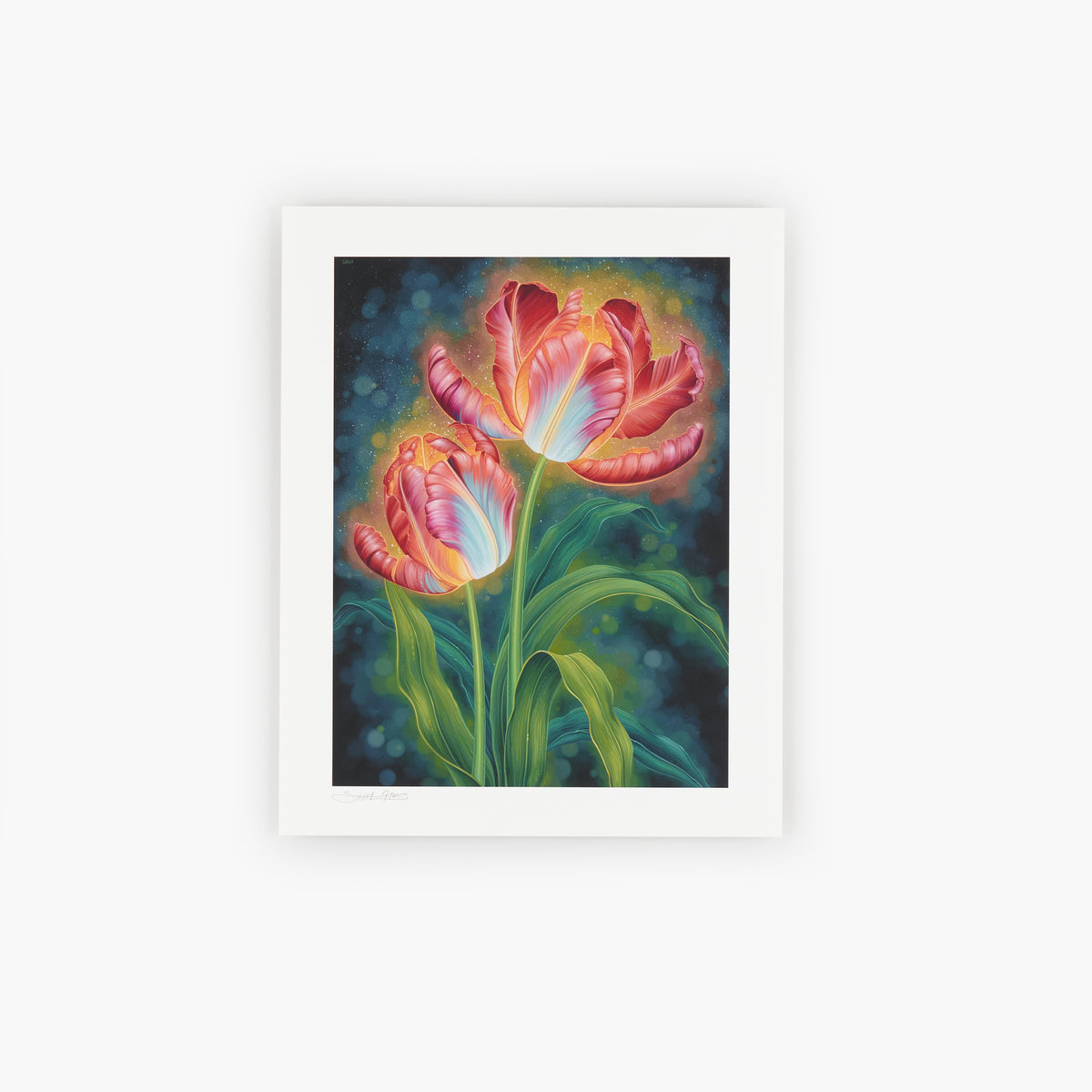 Abundance (Holiday Sale)