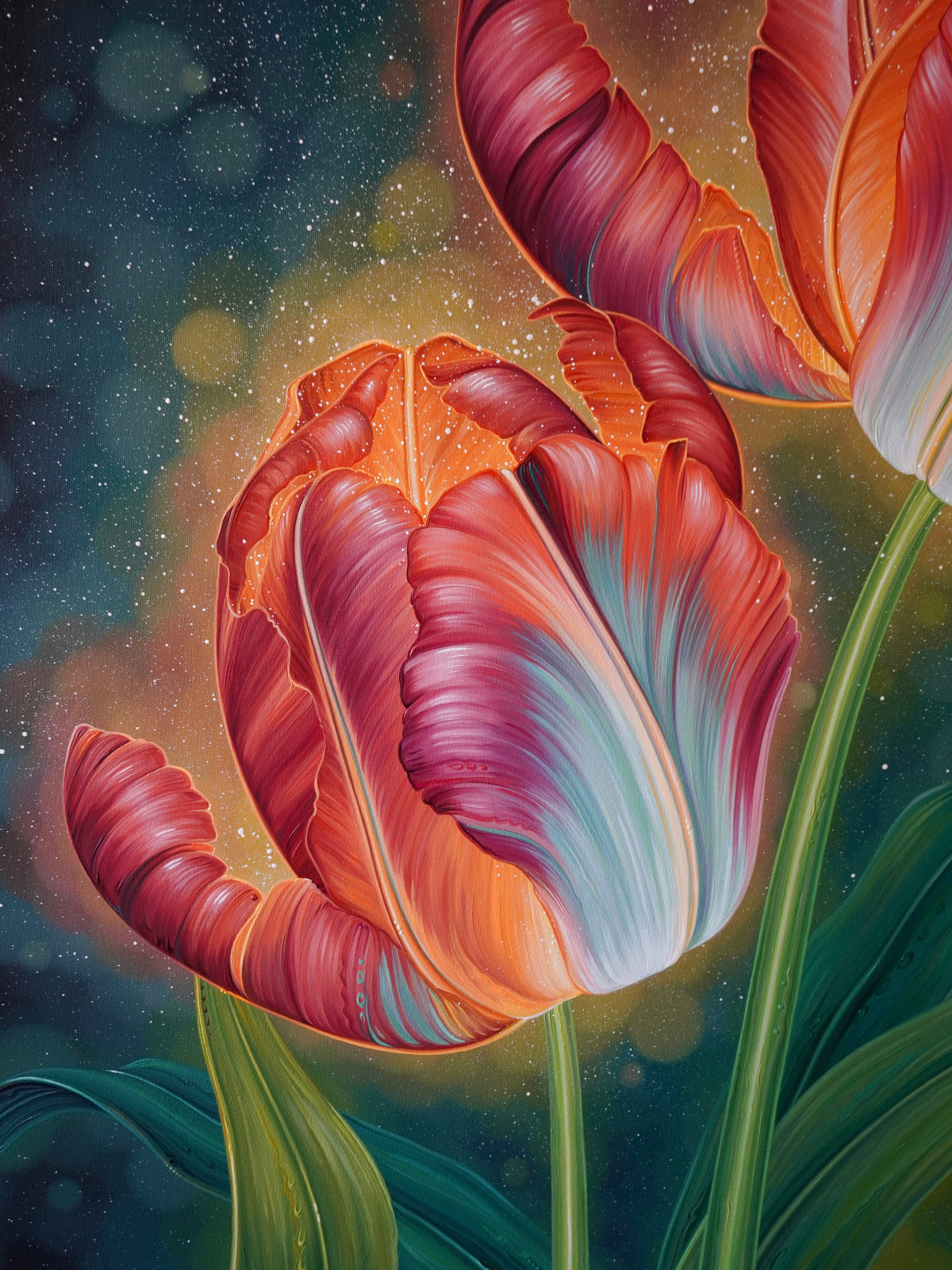 Abundance