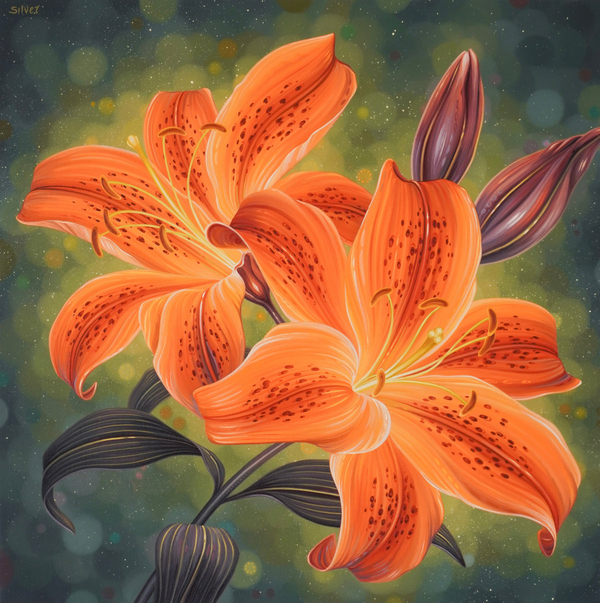 Tiger Lilies