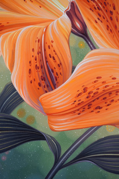 Tiger Lilies