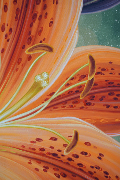 Tiger Lilies