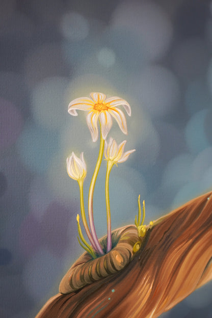 Portal to Spring
