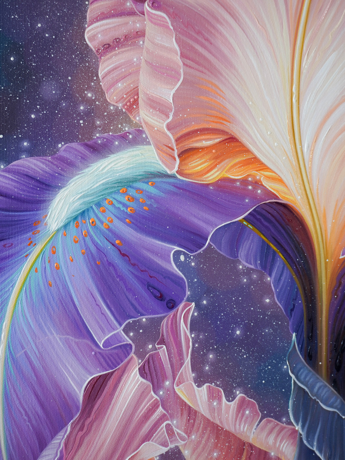 Dawn