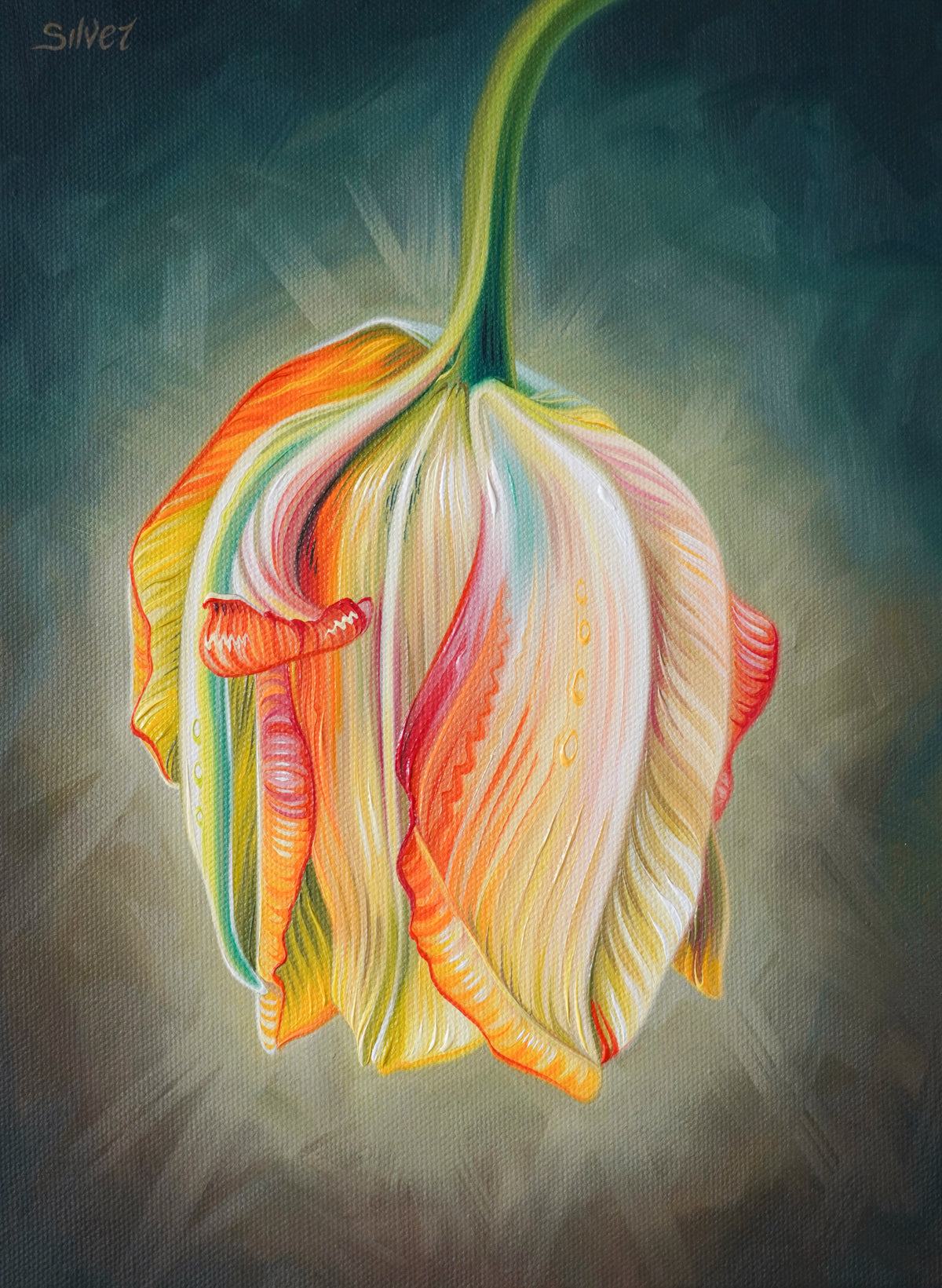 Tulip Study No. 2