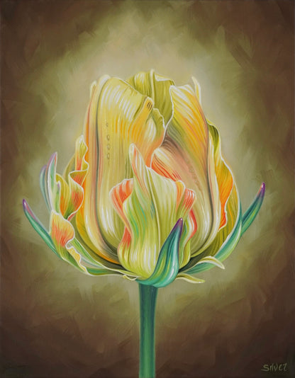 Tulip Study No. 3