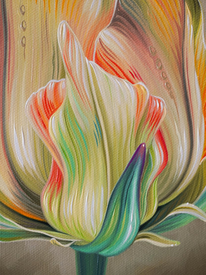 Tulip Study No. 3