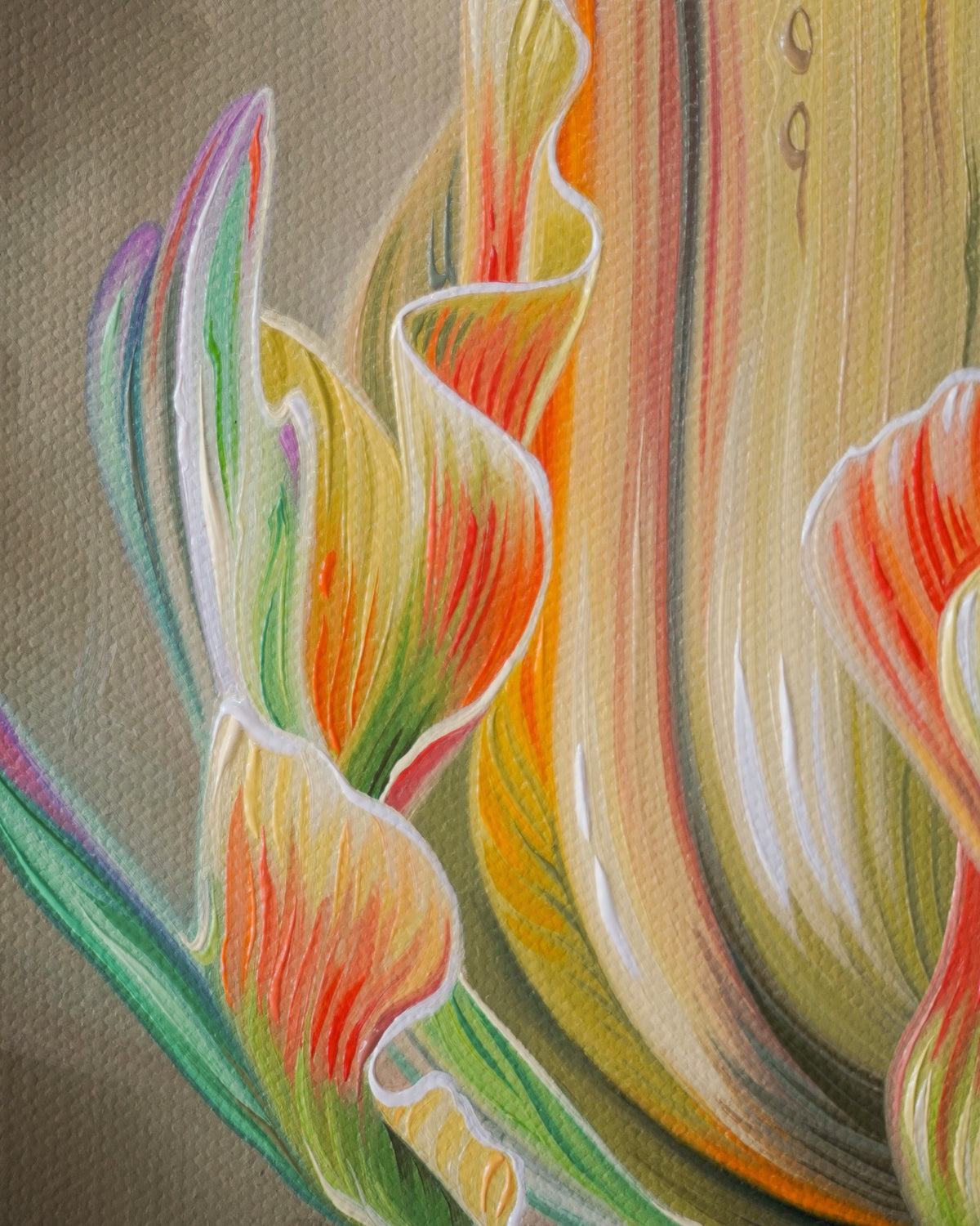 Tulip Study No. 3