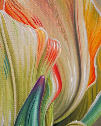 Tulip Study No. 3