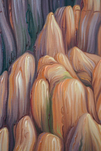 Cathedral Rock