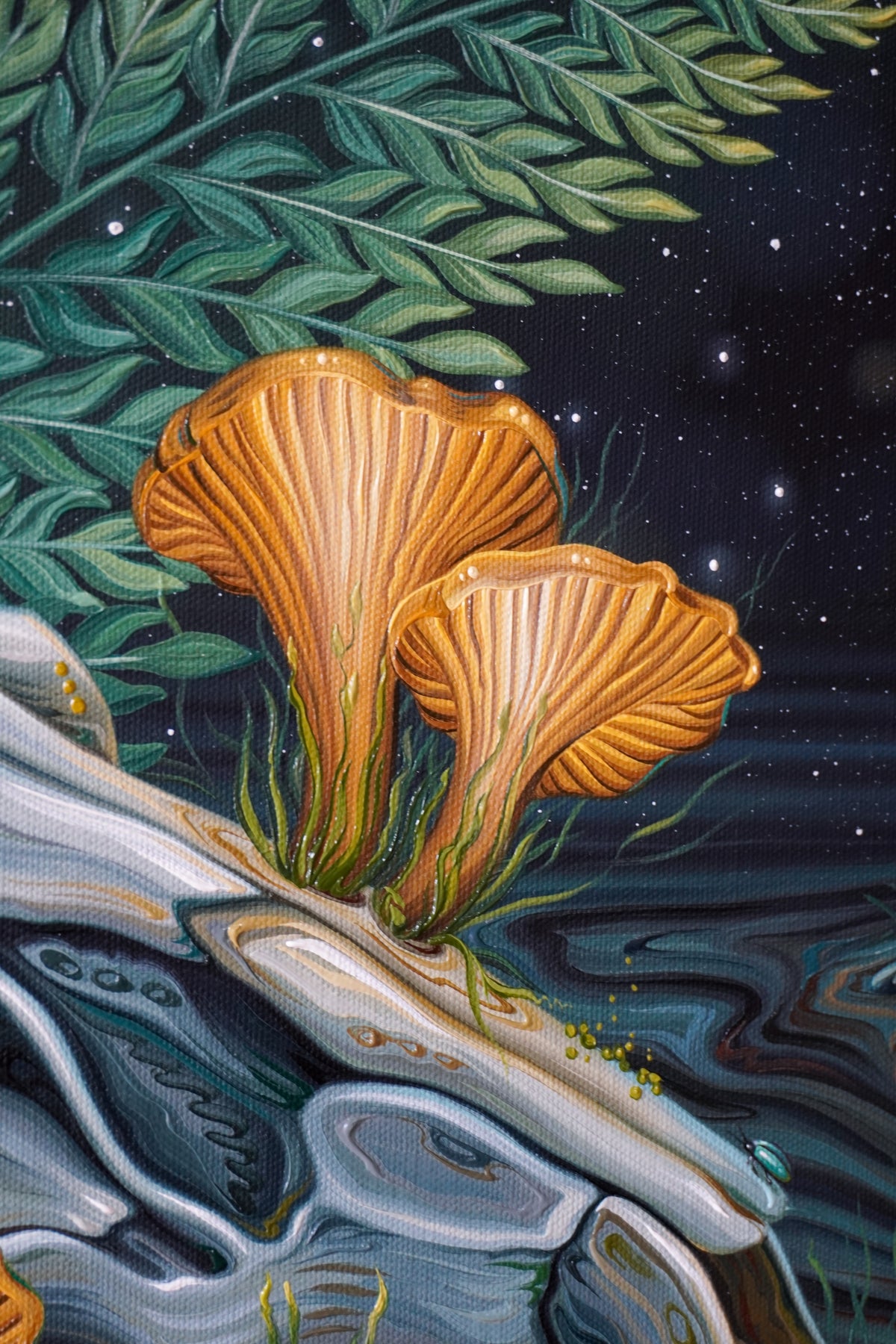 Foraging by Moonlight
