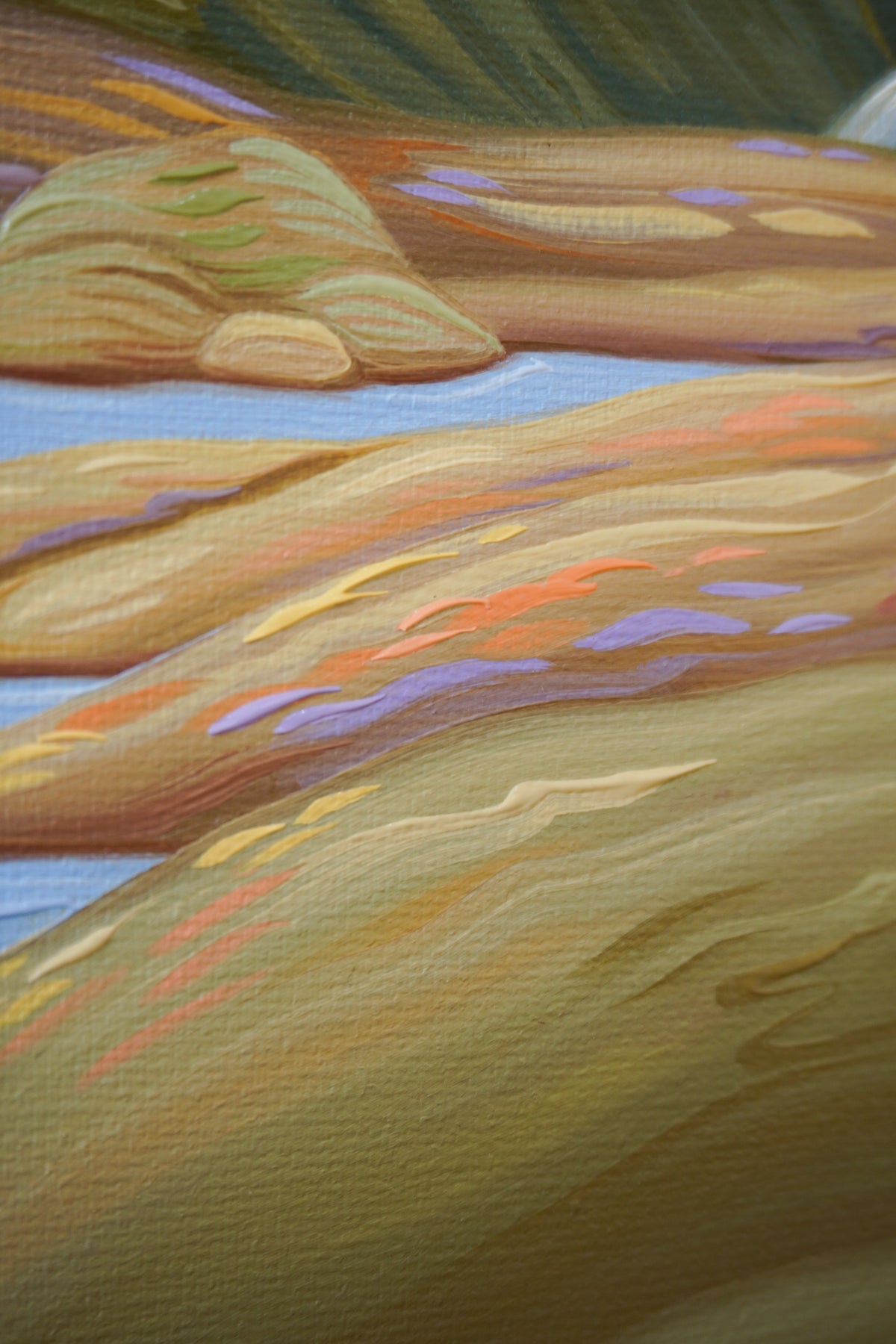 Nature's Palette