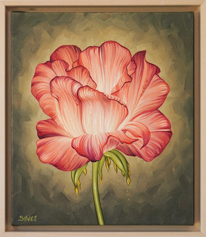 Rose Study No. 1