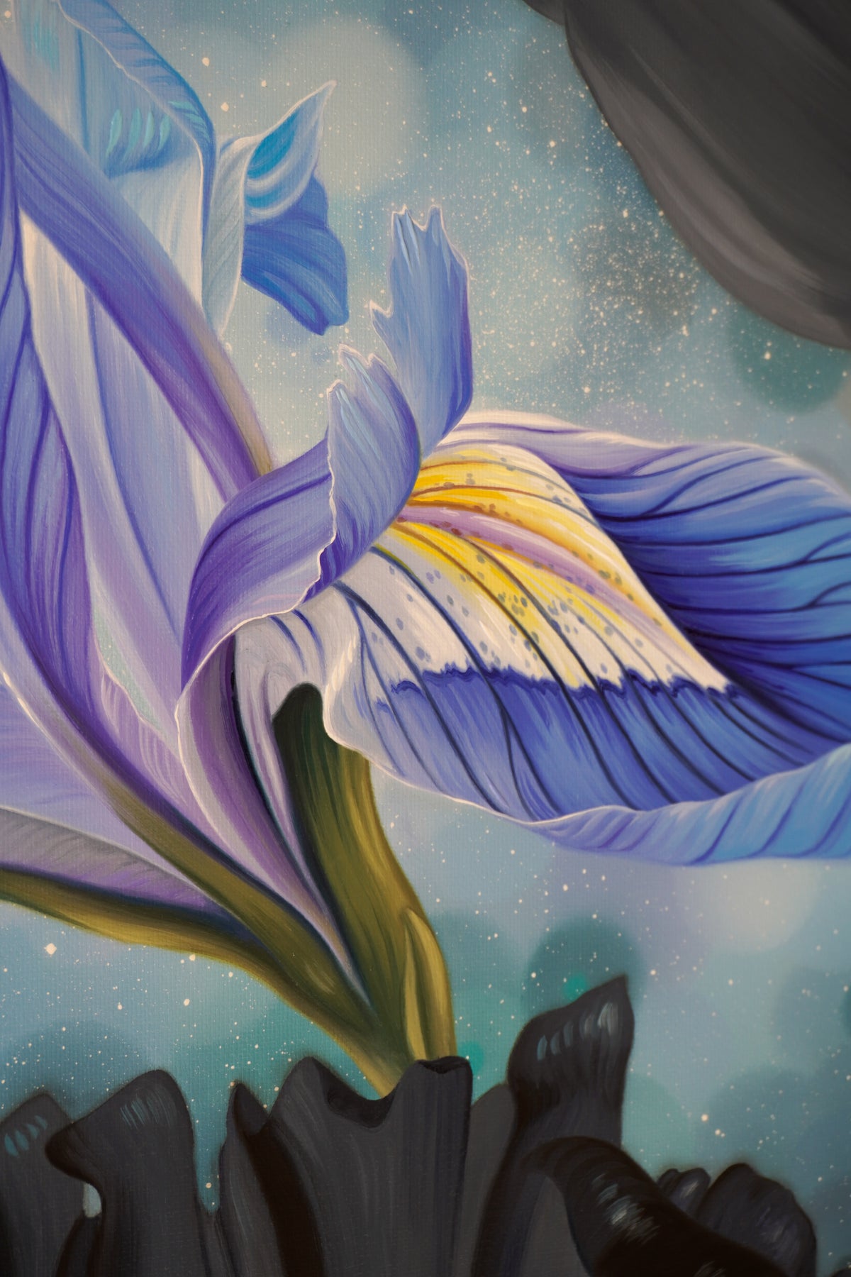 Mountain Blooms