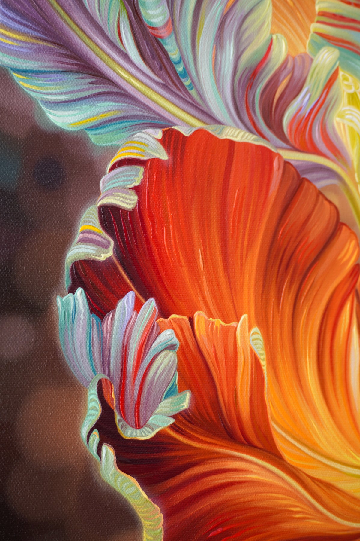 Rainbow Tulips