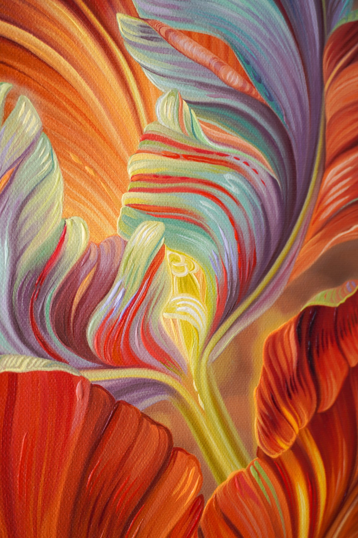 Rainbow Tulips