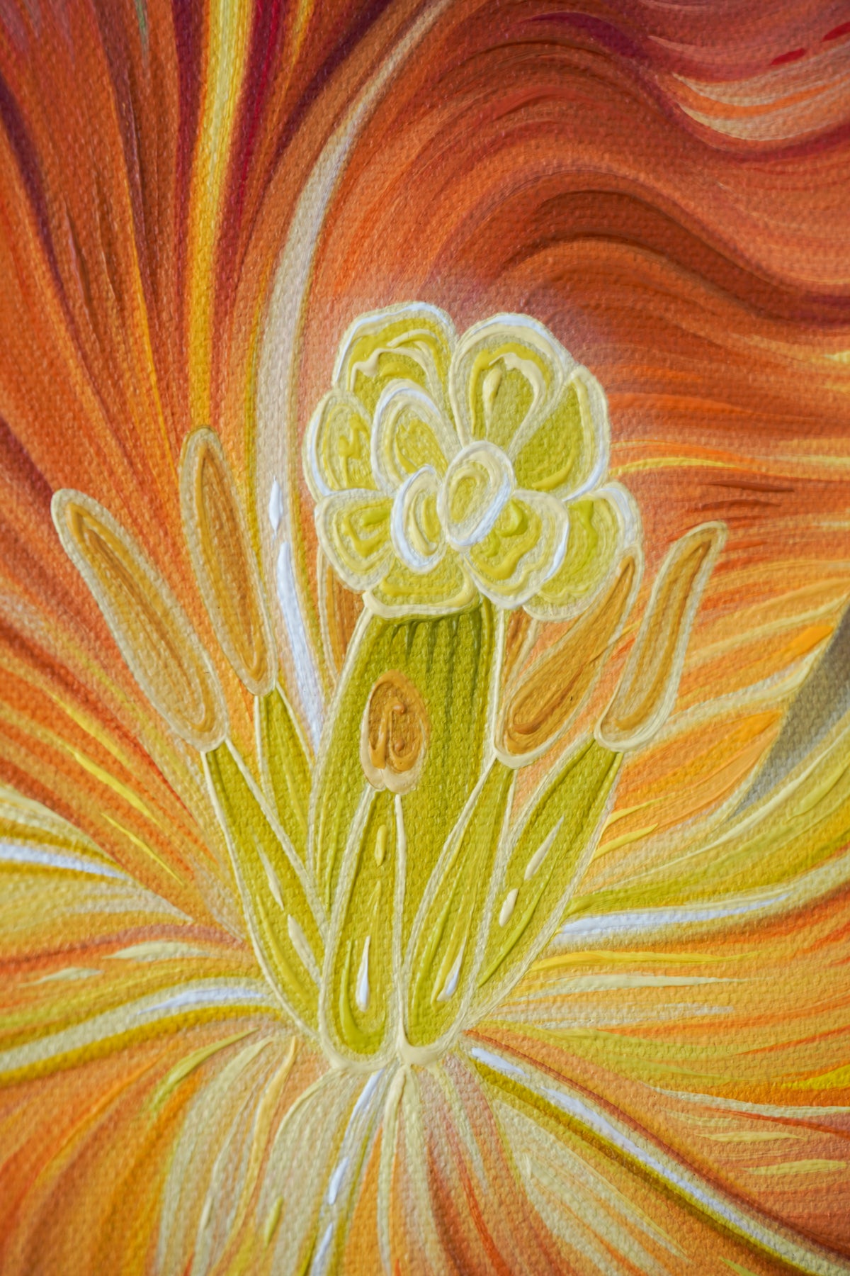 Rainbow Tulips