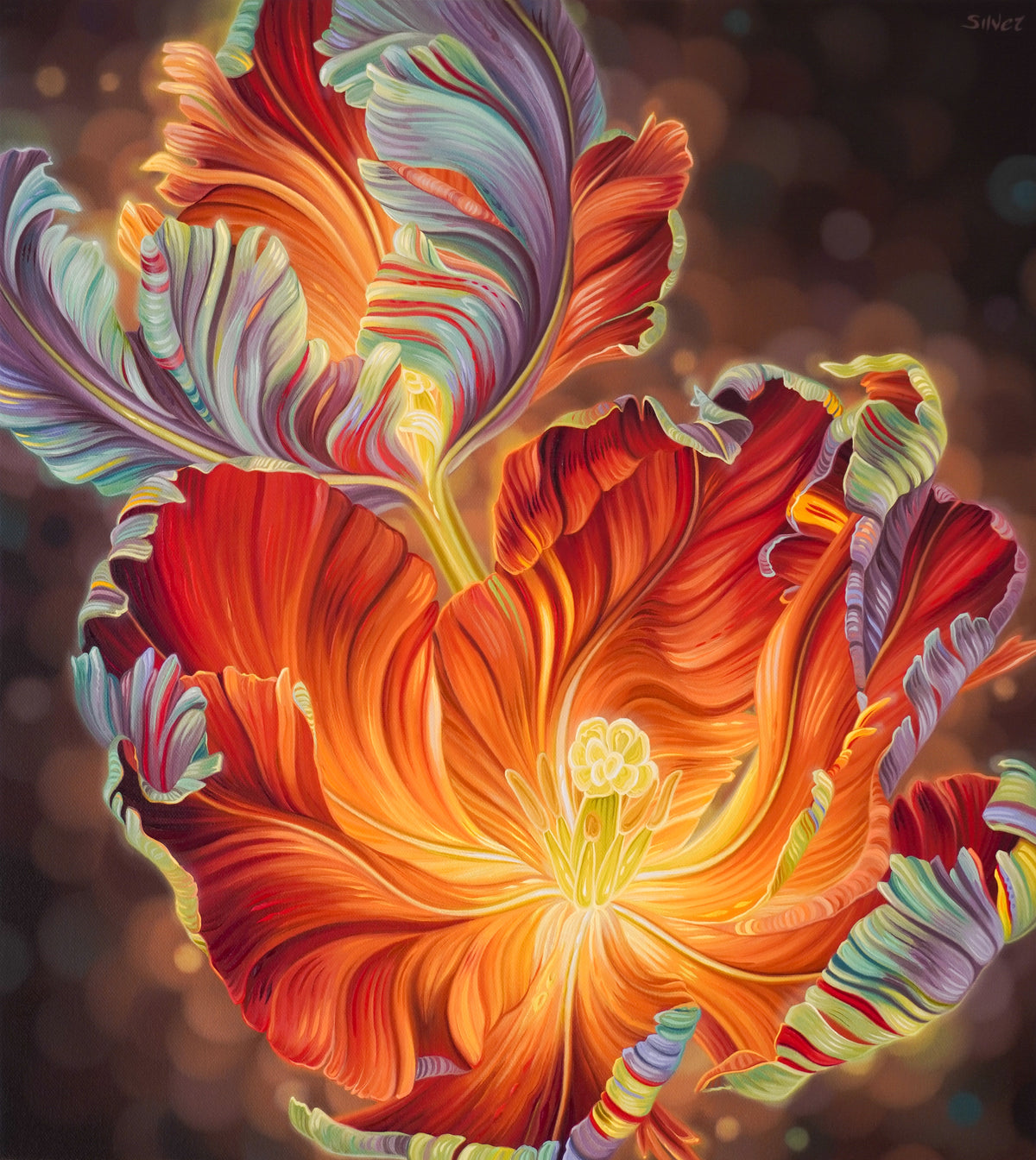 Rainbow Tulips