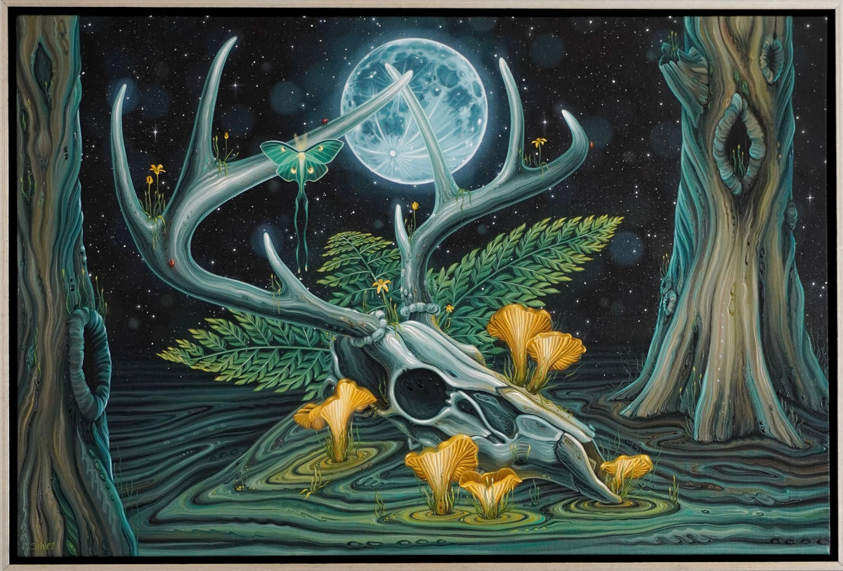 Foraging by Moonlight