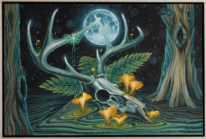 Foraging by Moonlight