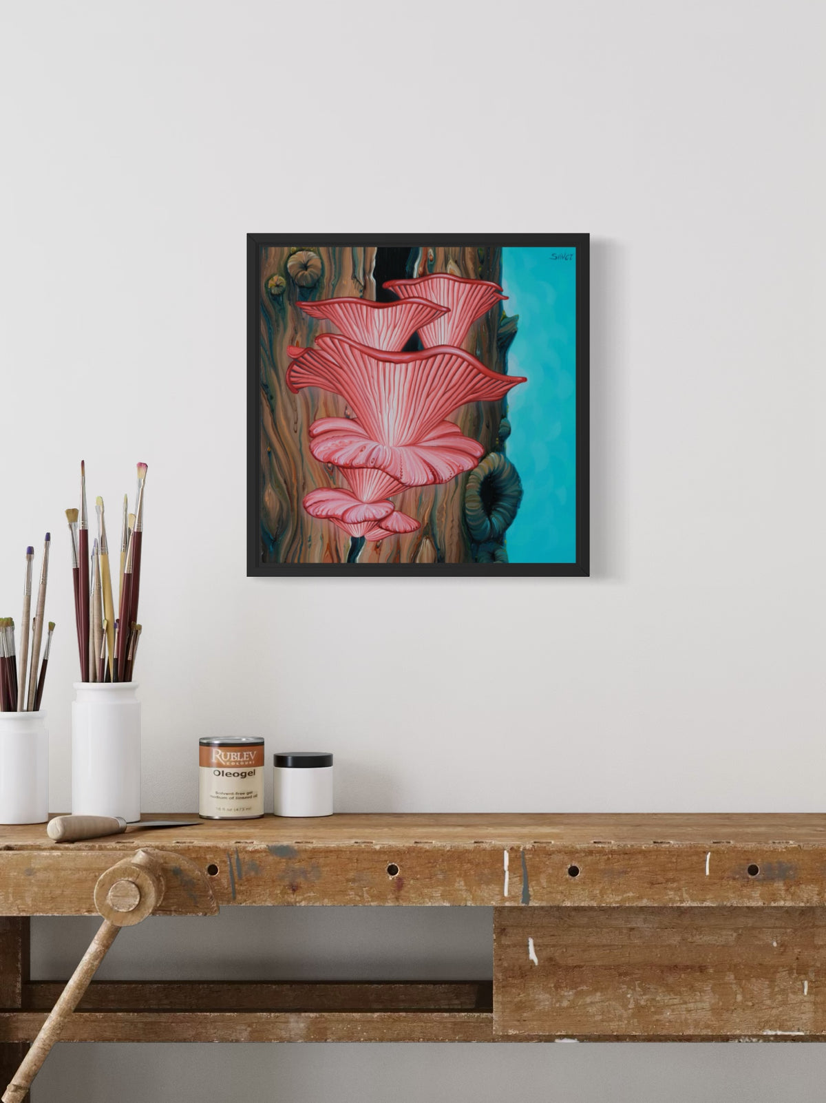 Rosy Oyster