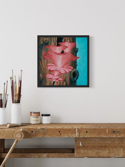 Rosy Oyster