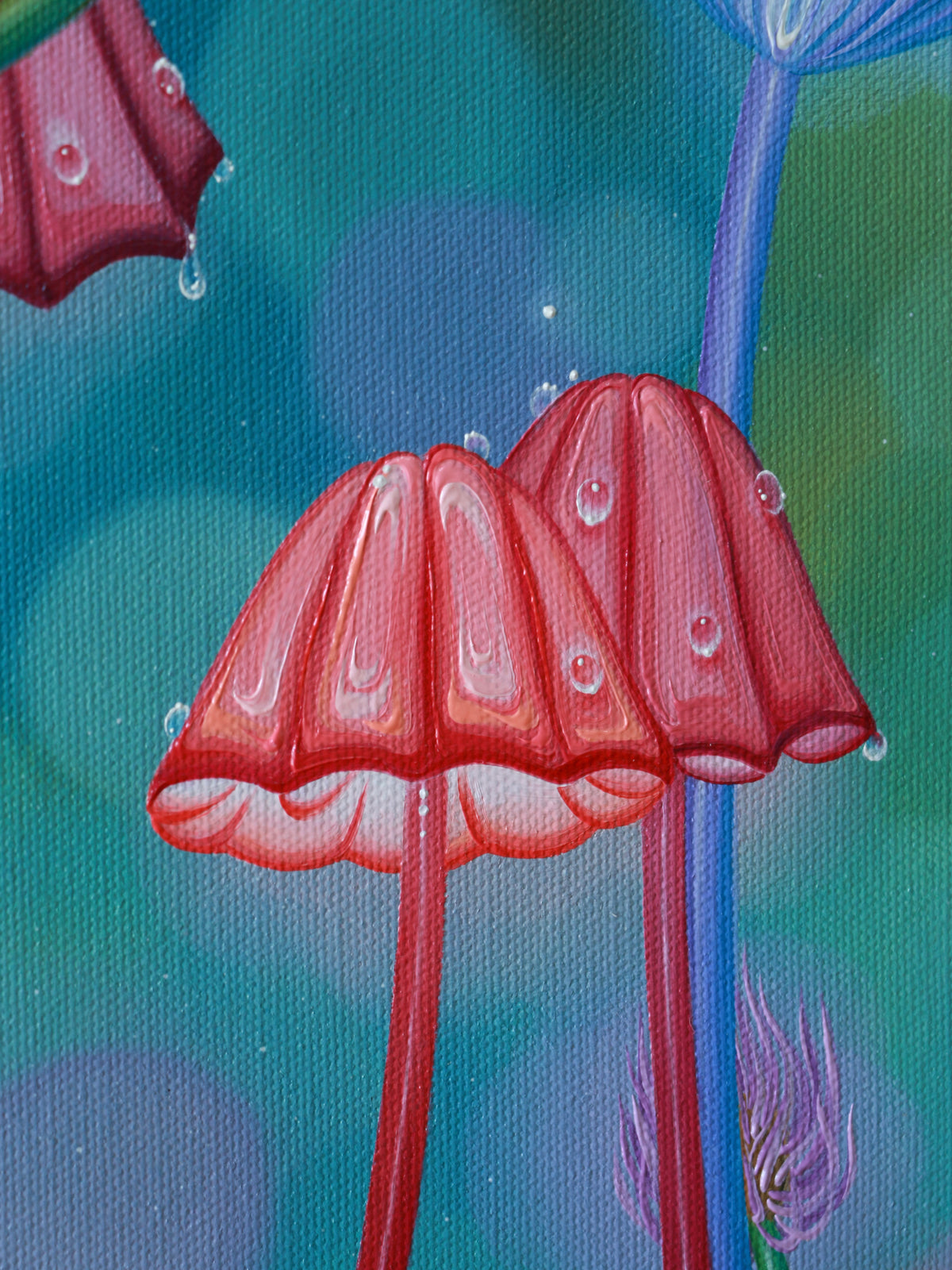 Rain's Garden