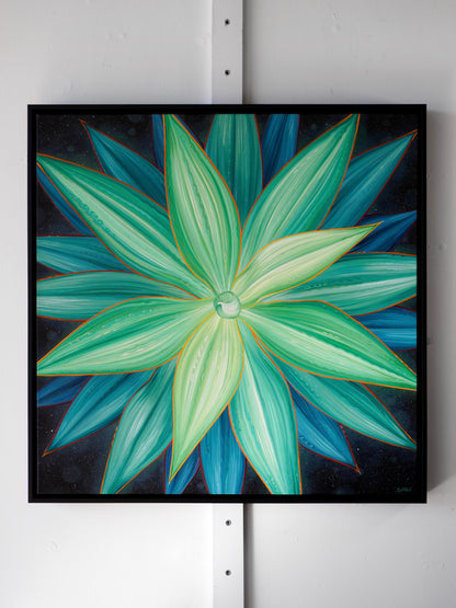 Desert Star