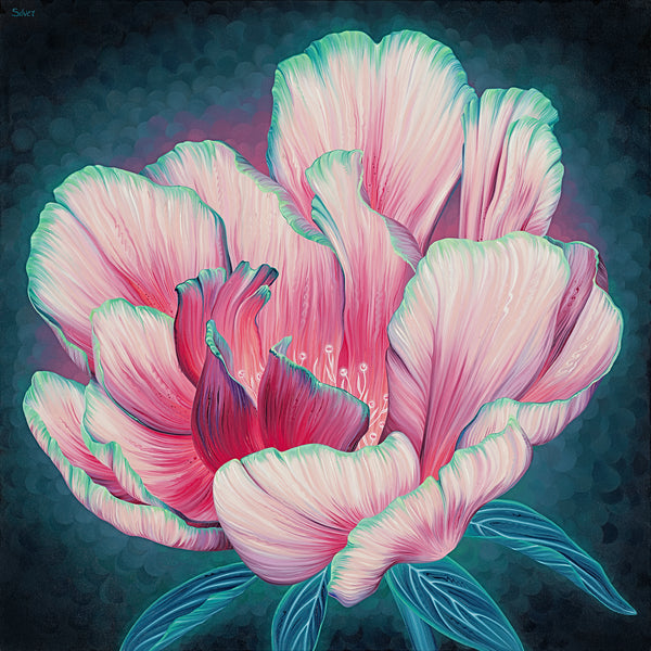 Wild Rose
