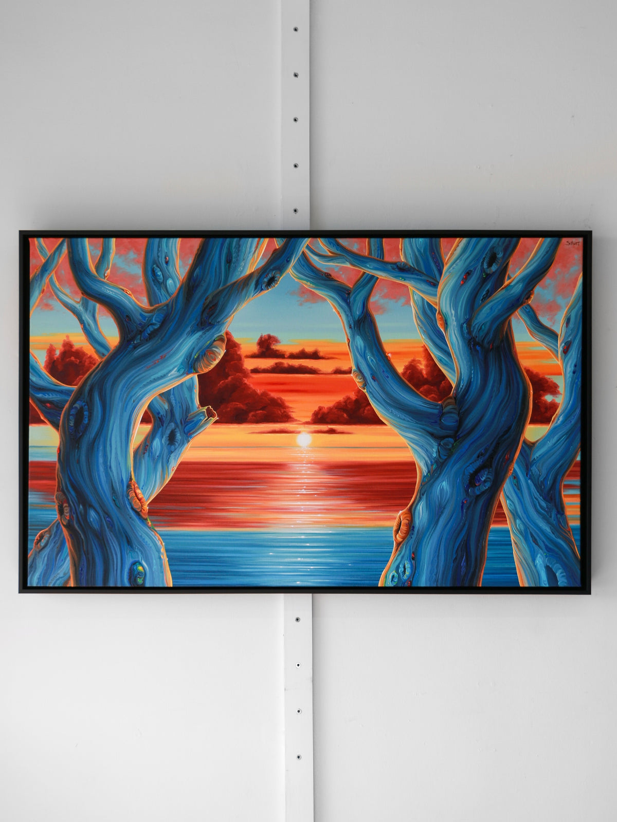 Sunset Through Twisted Trees